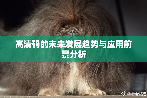 高清码的未来发展趋势与应用前景分析