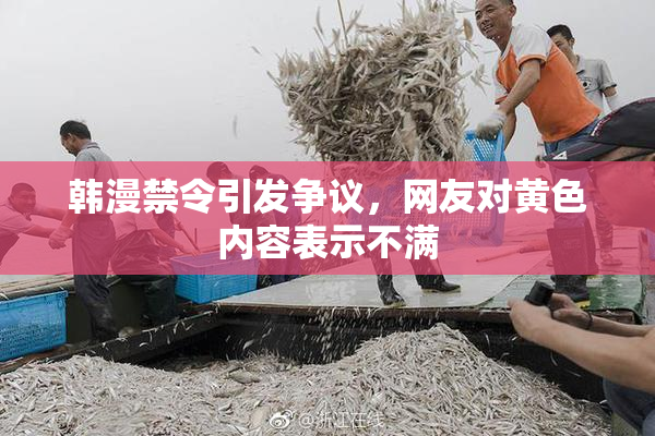 韩漫禁令引发争议，网友对黄色内容表示不满