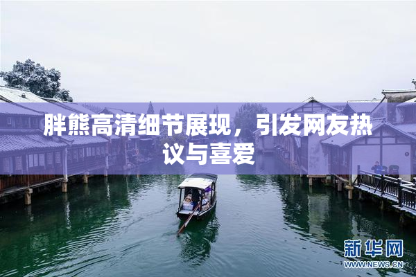 胖熊高清细节展现，引发网友热议与喜爱