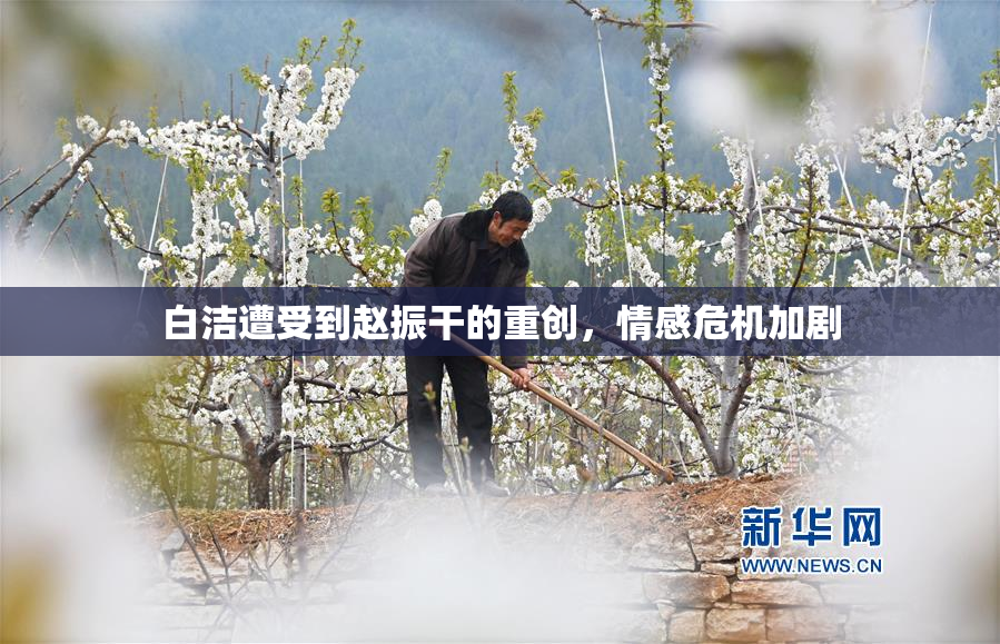 白洁遭受到赵振干的重创，情感危机加剧