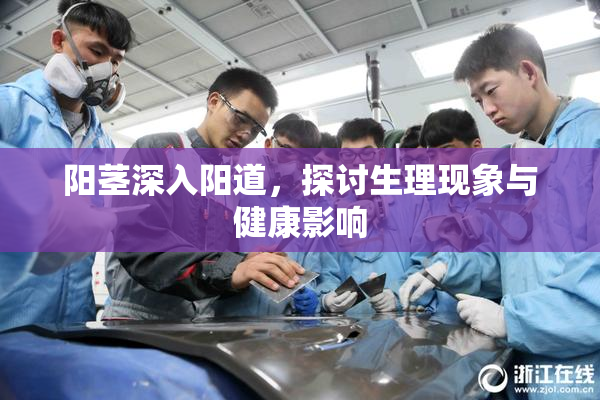 阳茎深入阳道，探讨生理现象与健康影响