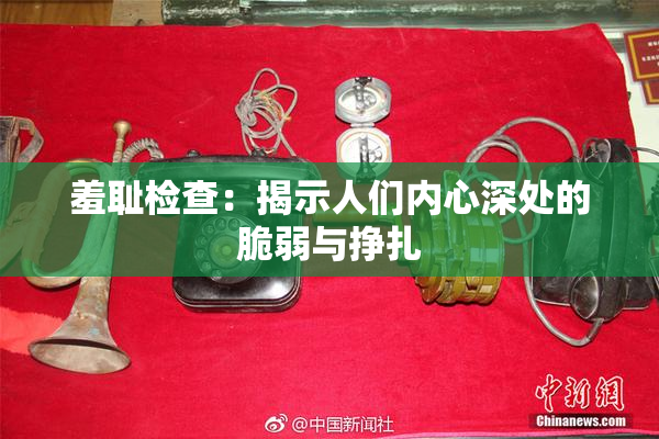 羞耻检查：揭示人们内心深处的脆弱与挣扎