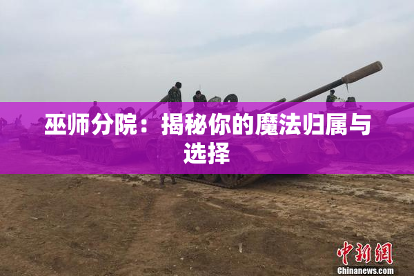 巫师分院：揭秘你的魔法归属与选择