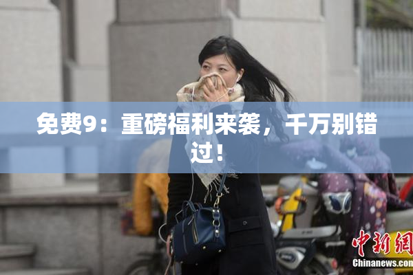 免费9：重磅福利来袭，千万别错过！