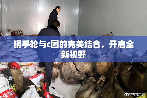 钢手轮与c图的完美结合，开启全新视野
