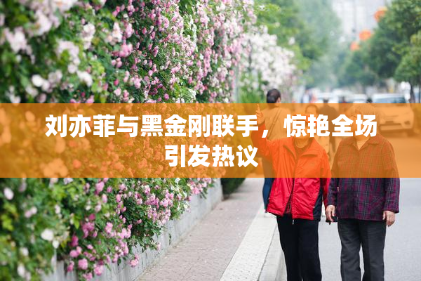 刘亦菲与黑金刚联手，惊艳全场引发热议