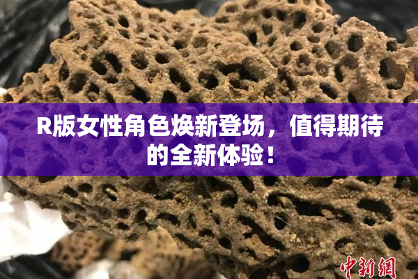 R版女性角色焕新登场，值得期待的全新体验！