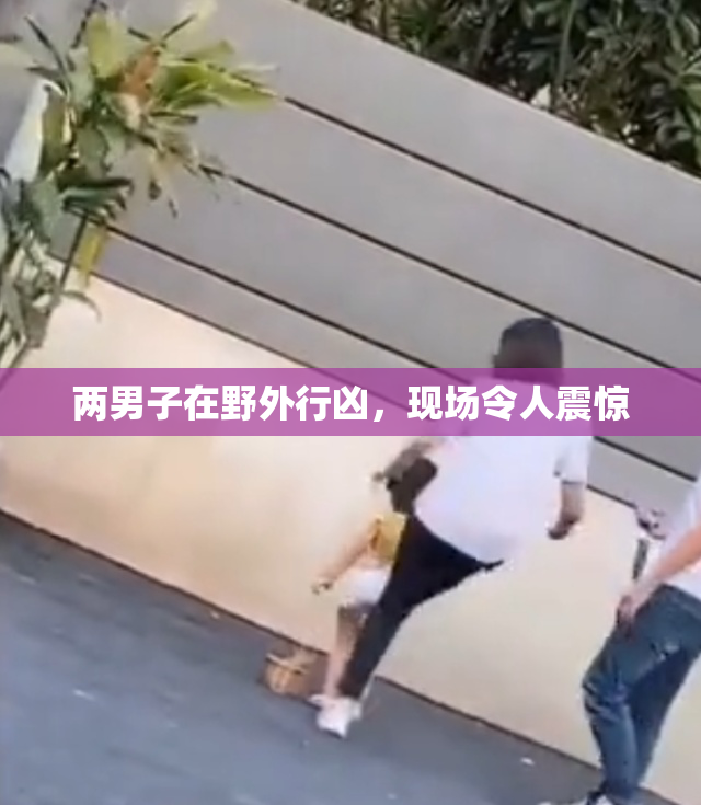 两男子在野外行凶，现场令人震惊