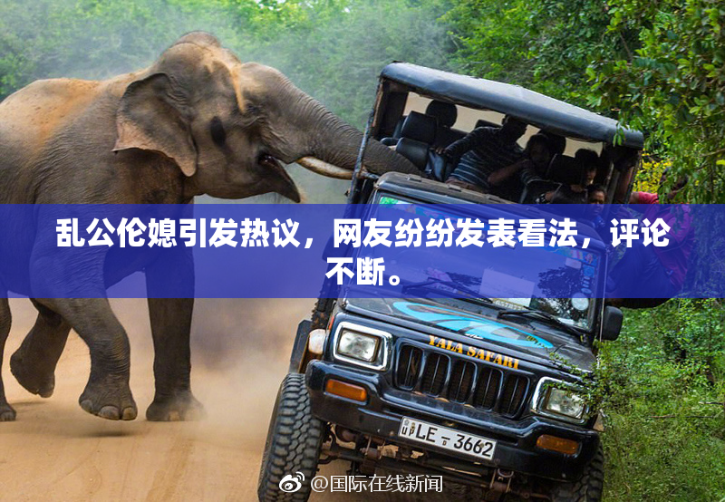 乱公伦媳引发热议，网友纷纷发表看法，评论不断。