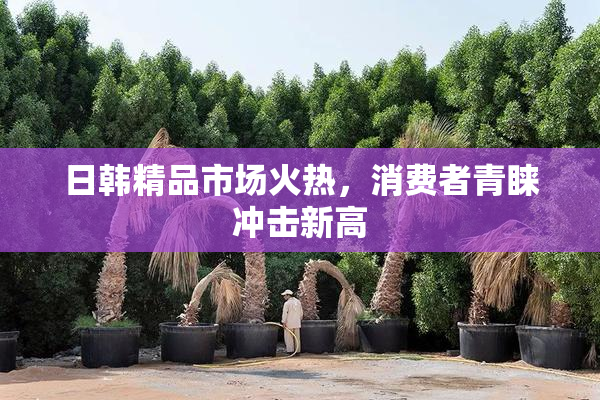 日韩精品市场火热，消费者青睐冲击新高