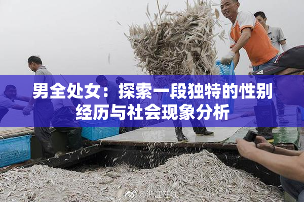 男全处女：探索一段独特的性别经历与社会现象分析