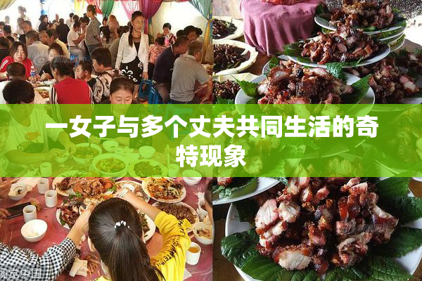 一女子与多个丈夫共同生活的奇特现象