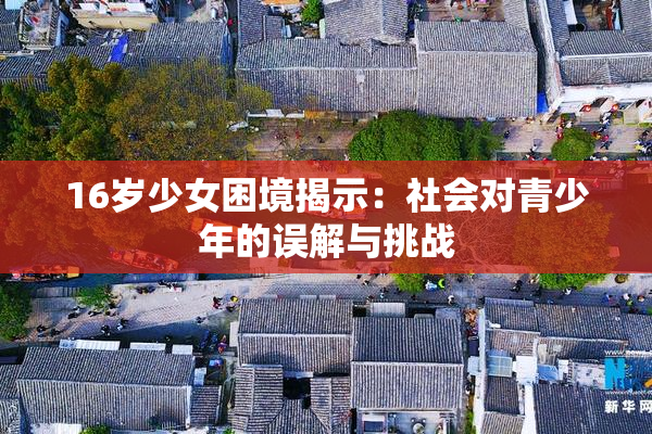 16岁少女困境揭示：社会对青少年的误解与挑战