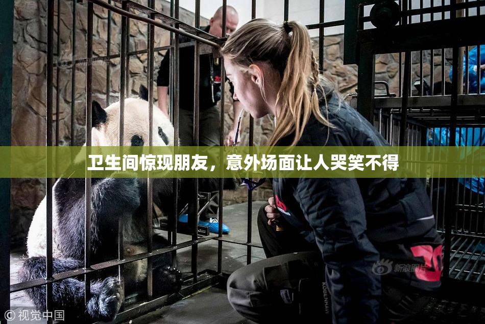 卫生间惊现朋友，意外场面让人哭笑不得