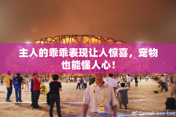 主人的乖乖表现让人惊喜，宠物也能懂人心！