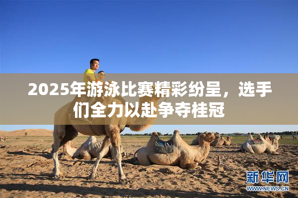 2025年游泳比赛精彩纷呈，选手们全力以赴争夺桂冠