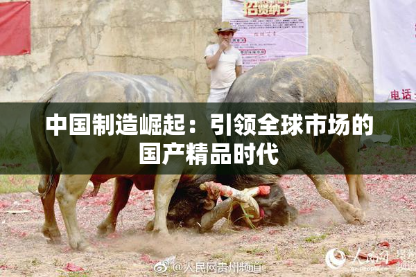 中国制造崛起：引领全球市场的国产精品时代