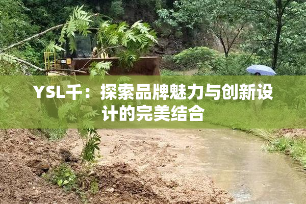 YSL千：探索品牌魅力与创新设计的完美结合