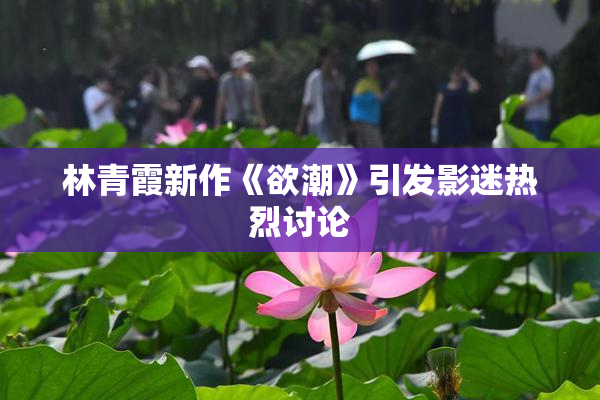 林青霞新作《欲潮》引发影迷热烈讨论