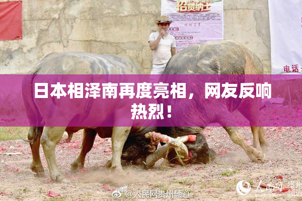 日本相泽南再度亮相，网友反响热烈！