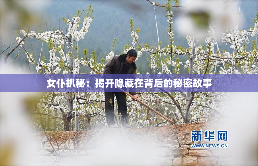 女仆扒秘：揭开隐藏在背后的秘密故事