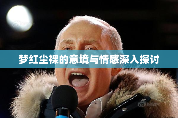 梦红尘裸的意境与情感深入探讨
