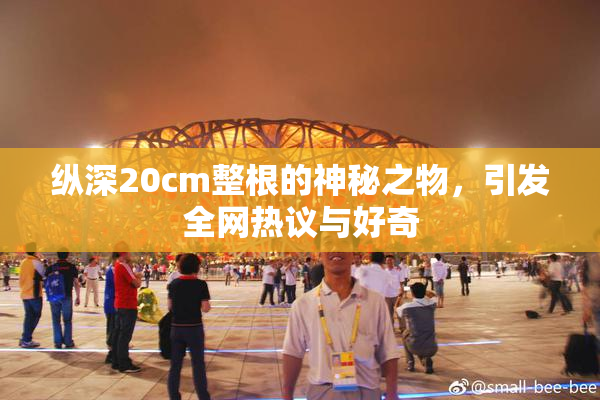 纵深20cm整根的神秘之物，引发全网热议与好奇