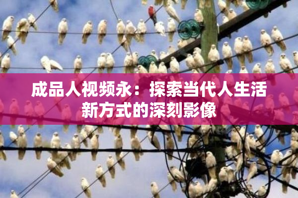 成品人视频永：探索当代人生活新方式的深刻影像