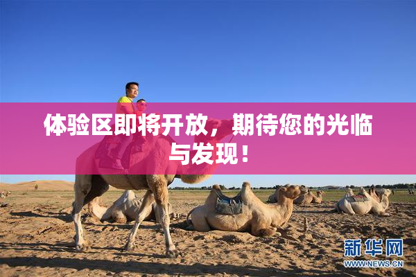 体验区即将开放，期待您的光临与发现！