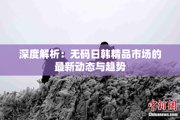 深度解析：无码日韩精品市场的最新动态与趋势