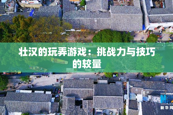 壮汉的玩弄游戏：挑战力与技巧的较量