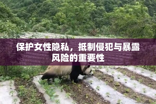 保护女性隐私，抵制侵犯与暴露风险的重要性