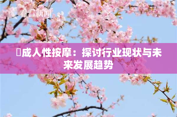 巜成人性按摩：探讨行业现状与未来发展趋势