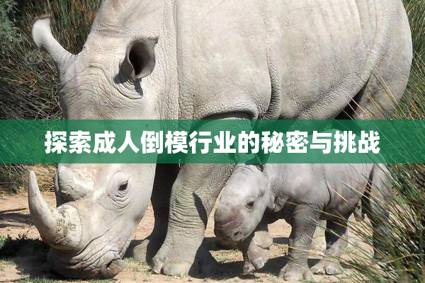 探索成人倒模行业的秘密与挑战