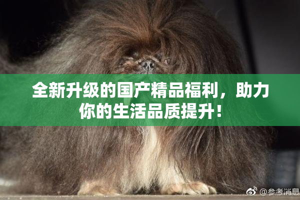全新升级的国产精品福利，助力你的生活品质提升！