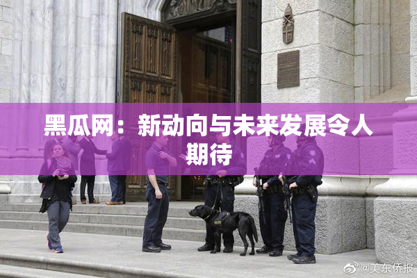 黑瓜网：新动向与未来发展令人期待