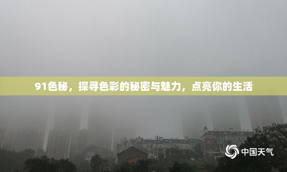 91色秘，探寻色彩的秘密与魅力，点亮你的生活