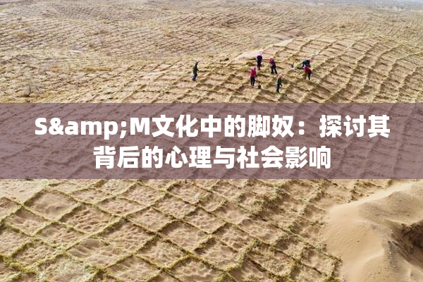 S&M文化中的脚奴：探讨其背后的心理与社会影响