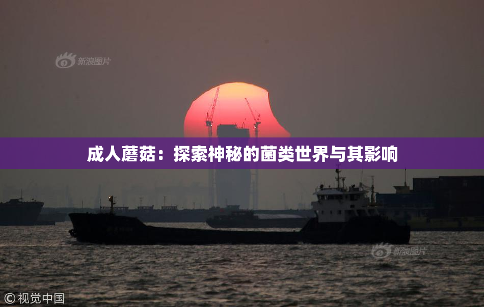 成人蘑菇：探索神秘的菌类世界与其影响