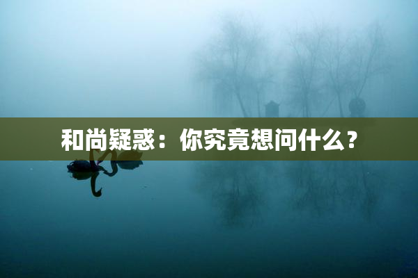 和尚疑惑：你究竟想问什么？