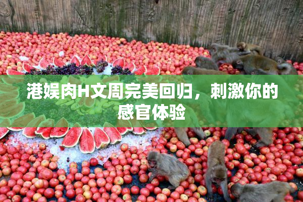 港娱肉H文周完美回归，刺激你的感官体验