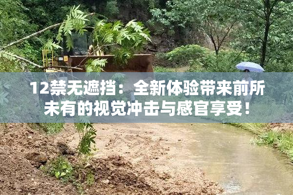 12禁无遮挡：全新体验带来前所未有的视觉冲击与感官享受！