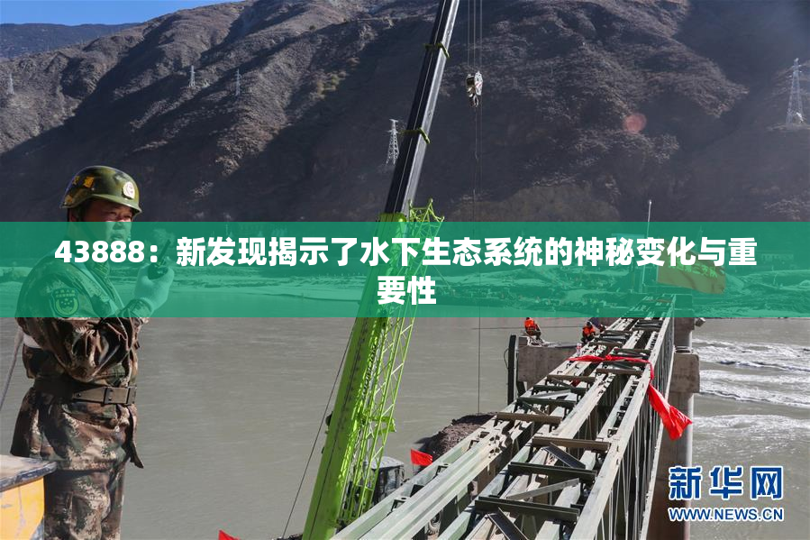 43888：新发现揭示了水下生态系统的神秘变化与重要性