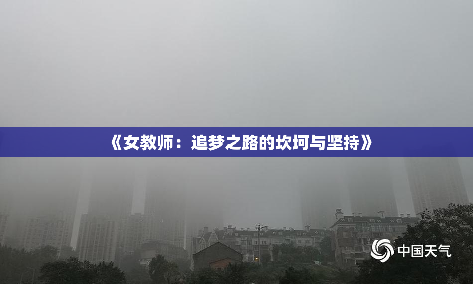《女教师：追梦之路的坎坷与坚持》