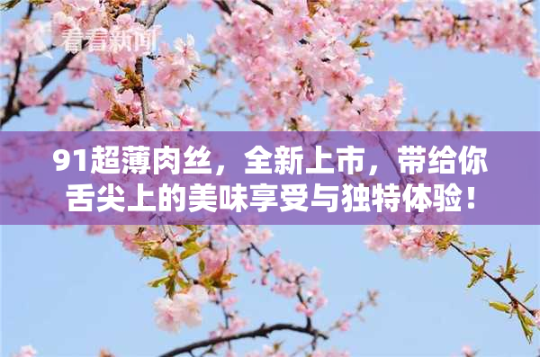 91超薄肉丝，全新上市，带给你舌尖上的美味享受与独特体验！