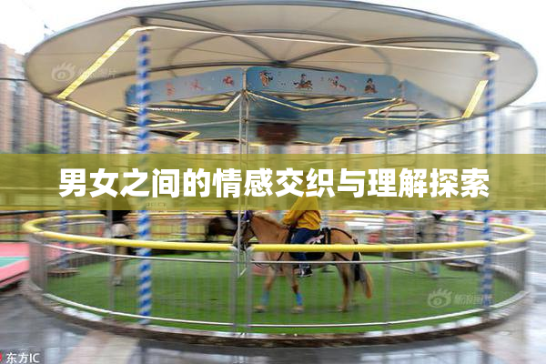 男女之间的情感交织与理解探索