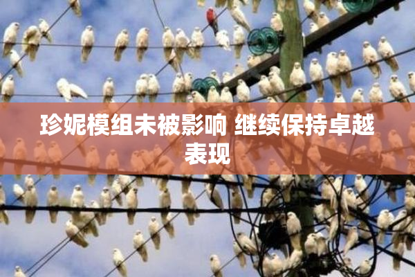 珍妮模组未被影响 继续保持卓越表现