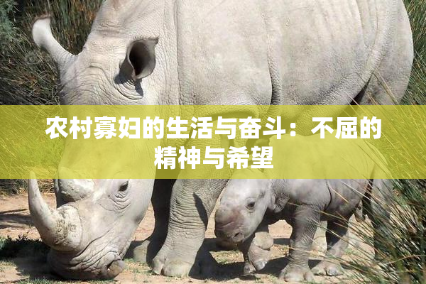 农村寡妇的生活与奋斗：不屈的精神与希望