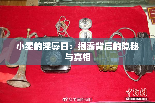 小柔的淫辱日：揭露背后的隐秘与真相