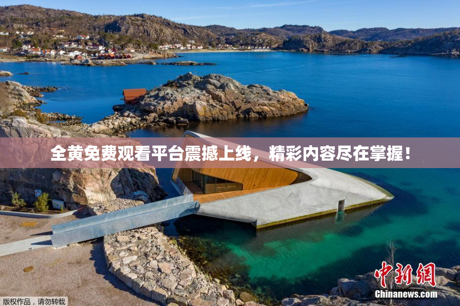 全黄免费观看平台震撼上线，精彩内容尽在掌握！
